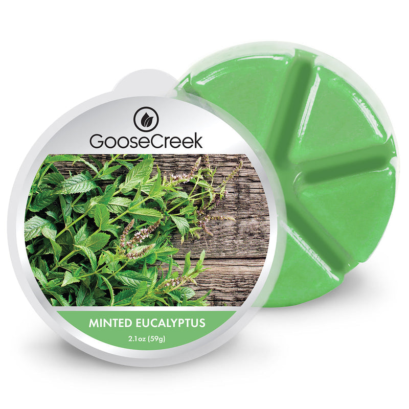 Minted Eucalyptus Wax Melt Studio 8-0548