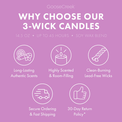 Wildberry Wisteria 3-Wick Candle